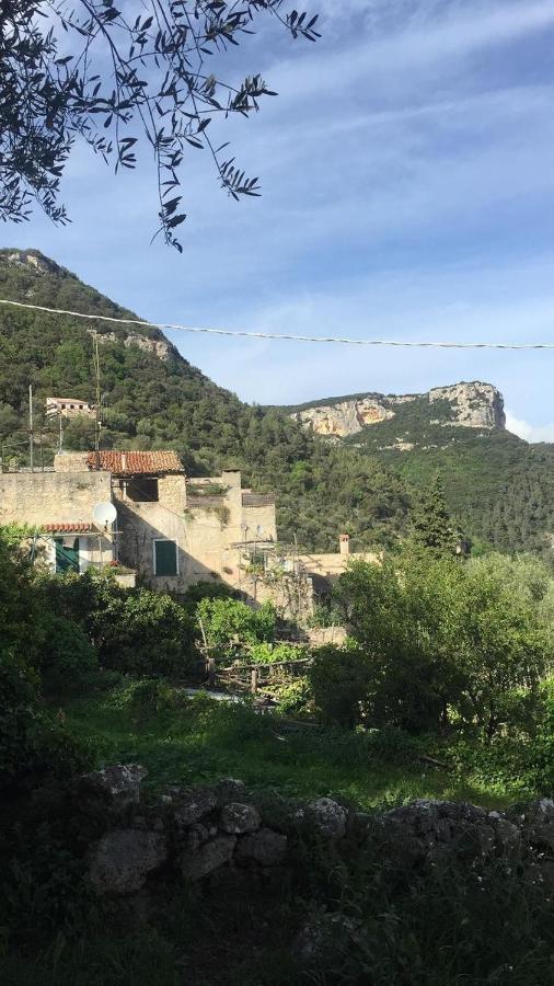 Casa Olivia Lacrema Finale Ligure Eksteriør bilde